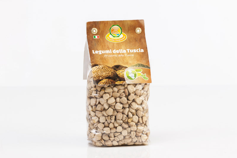 CICERCHIA dell TUSCIA